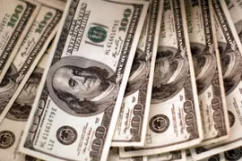 128 người Áo bỗng dưng được hưởng tiền hỗ trợ Covid-19 của Mỹ