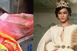 Xây dựng Luật Nghệ thuật Biểu diễn