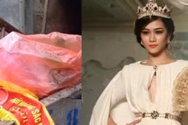 Xây dựng Luật Nghệ thuật Biểu diễn