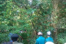 "Yêu râu xanh" ra đầu thú sau khi cưỡng bức thiếu nữ