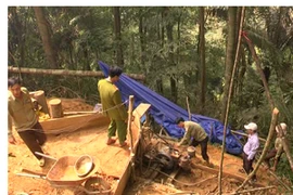 Nam Trà My ra quân truy quét nạn khai thác vàng trái phép