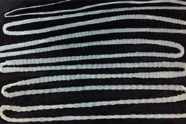 Sán dây 6,2m làm tổ trong dạ dày của người đàn ông thích ăn thịt bò tái