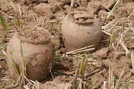 Phát hiện nhiều cổ vật nghìn năm tuổi ở Thành nhà Hồ