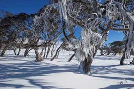 Australia: Thời tiết lạnh nhất trong 40 năm