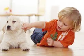 Thú cưng giúp trẻ tự kỷ giảm lo âu