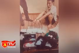 Bắt giữ đối tượng tàng trữ hơn 8kg ma túy và súng, đạn