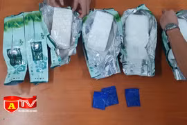 Triệt phá đường dây lợi dụng xe luồng xanh vận chuyển ma tuý 