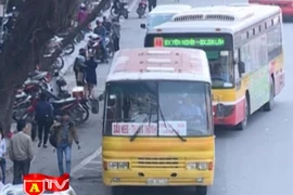 Xử lý nghiêm xe buýt "nhái" trên toàn thành phố