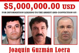 Giám đốc nhà tù có thể đã trợ giúp trùm ma tuý El Chapo trốn thoát