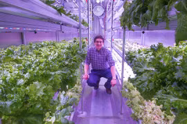 Phương pháp trồng rau hữu hiệu ở vùng khí hậu khắc nghiệt