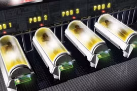 Bé gái ung thư được tòa chấp thuận đông lạnh chờ tái sinh