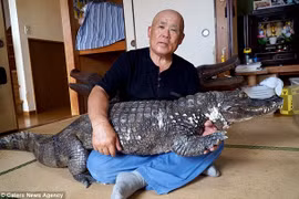 Cụ ông làm bạn với cá sấu hơn 30 năm