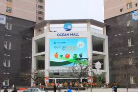 Vingroup công bố mua lại hệ thống Ocean mart
