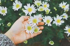 [ẢNH] 20-10 sắp tới, những món quà bất ngờ dành cho phái đẹp