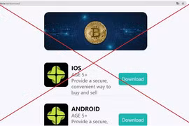 Xuất hiện nhiều thủ đoạn lừa đảo mới trong đầu tư 'tiền ảo'