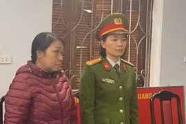 Nữ giám đốc khai thác khoáng sản trái phép, thu lợi bất chính hàng tỷ đồng