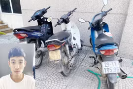 'Gỡ' ổ trộm cắp, tiêu thụ tài sản do người khác phạm tội mà có