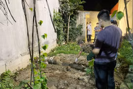 Khởi tố, tạm giam thiếu niên 15 tuổi sát hại bạn gái