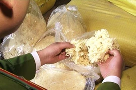 Bắt quả tang vụ vận chuyển 1 tấn ruốc làm từ sắn dây