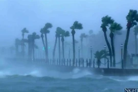 Gần 900 người đã thiệt mạng vì bão Matthew