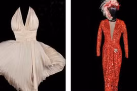 Chiếc váy trị giá 4,6 triệu USD