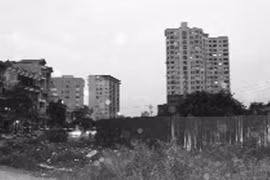 Điểm mặt “cao thủ”