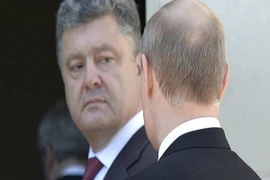 Tổng thống Putin có thể hội đàm với Tổng thống Ukraine vào tuần tới