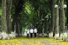 Những chuyện ngẫu nhiên ở mùa Thu