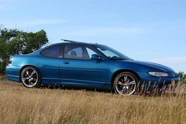 Treo thưởng xe hơi để tìm chó lạc