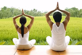 Yoga có thể giúp ích cho bệnh nhân rối loạn nhịp tim