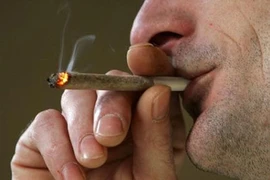 Bé 8 tháng tuổi nguy kịch do ăn phải cần sa