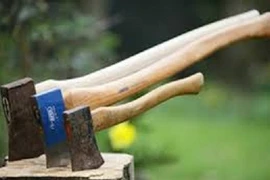 Con hoảng loạn chứng kiến cảnh cha giết mẹ rồi tự sát