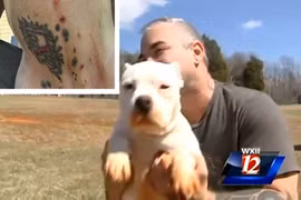 Cộng đồng mạng “dậy sóng” vụ xăm hình cho chó