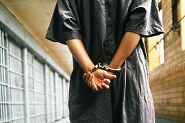 Bị phạt tù vì xem phim hoạt hình khiêu dâm