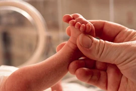 Phơi nhiễm chất Phthalates làm tăng nguy cơ sinh non