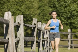 Thể lực tốt, chậm suy giảm trí nhớ