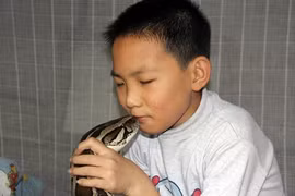 Dùng trăn làm “bảo mẫu” cho con trai