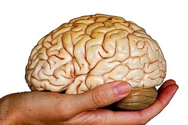 Nồng độ đường huyết thấp có thể tốt cho não