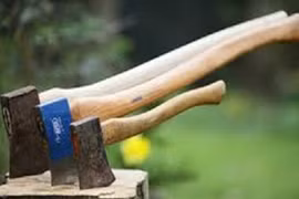 Con hoảng loạn chứng kiến cảnh cha giết mẹ rồi tự sát