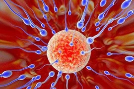 Điểm mặt các nguyên nhân làm giảm lượng tinh binh