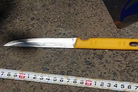 Tranh chấp tài sản, chồng đâm vợ cũ giữa phố