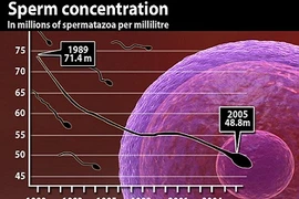 Chế độ ăn nhiều chất béo làm giảm lượng tinh binh