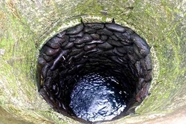 Tàn nhẫn đẩy người tình mang thai xuống giếng