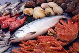 Phơi nhiễm thủy ngân làm tăng nguy cơ tiểu đường