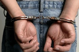 Bắt giữ 6 đối tượng gây ra 2 vụ tấn công tình dục man rợ