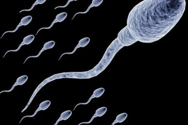 Độ dài của “tinh binh” dự báo khả năng làm cha