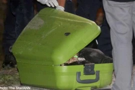 Hiếp, giết thiếu nữ 15 tuổi rồi nhét xác vào vali