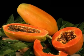 Khám phá lợi ích của đu đủ