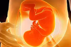 Phát hiện gen có liên quan với thai chết lưu