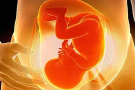 Phát hiện gen có liên quan với thai chết lưu